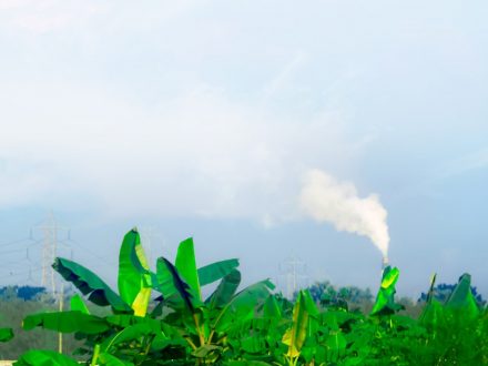 Влияние закиси азота на экологию: проблемы и решения