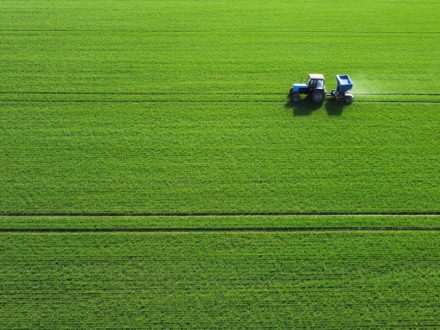 Влияние закиси азота на экосистему: экология и изменения климата