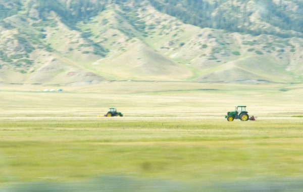 Влияние закиси азота на экологию: проблемы и решения