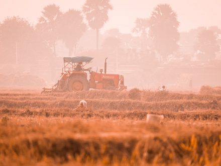 Влияние закиси азота на экосистемы: источники и последствия